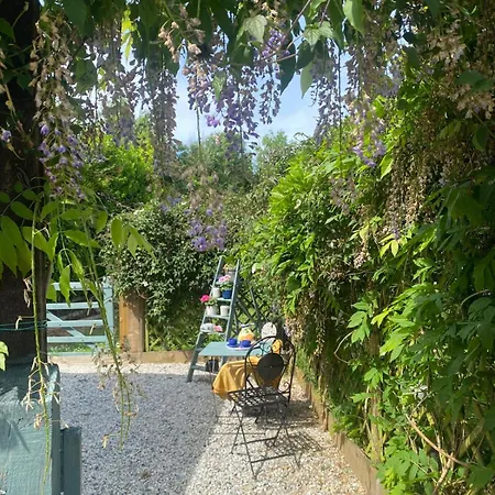 Hillhead Hideaway Alpehytte St Columb Major